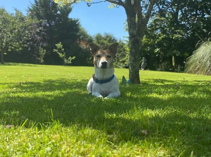 Applecroft House Couette-café 3*