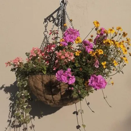 Applecroft House Готель типу 