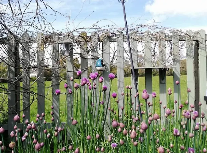 Applecroft House Bed & Breakfast 3*