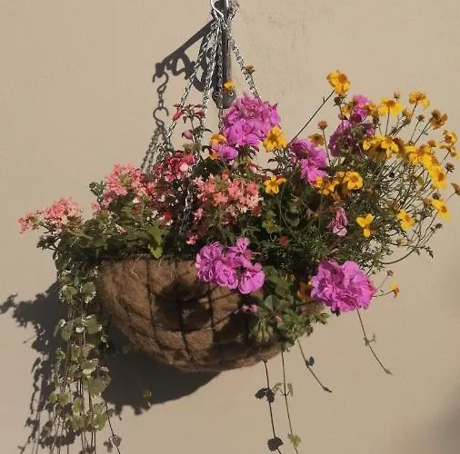 Applecroft House Bed & Breakfast Killarney